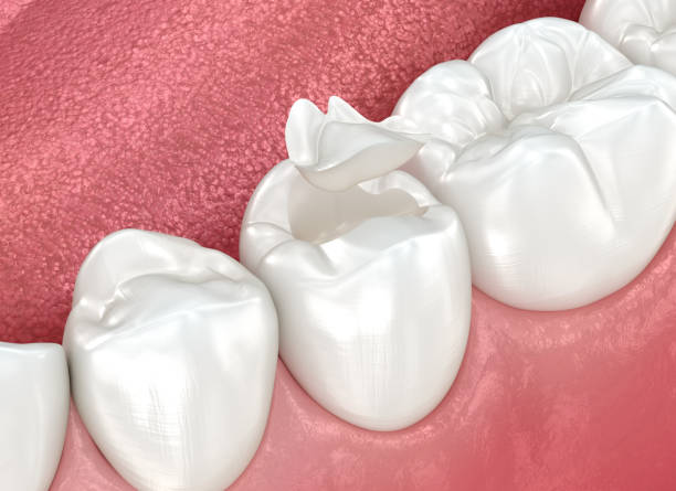 Reliable Palmhurst, TX  Dental Services Solutions